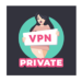 Private VPN For Windows