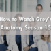 How to Watch Grey's Anatomy Season 15 From Anywhere